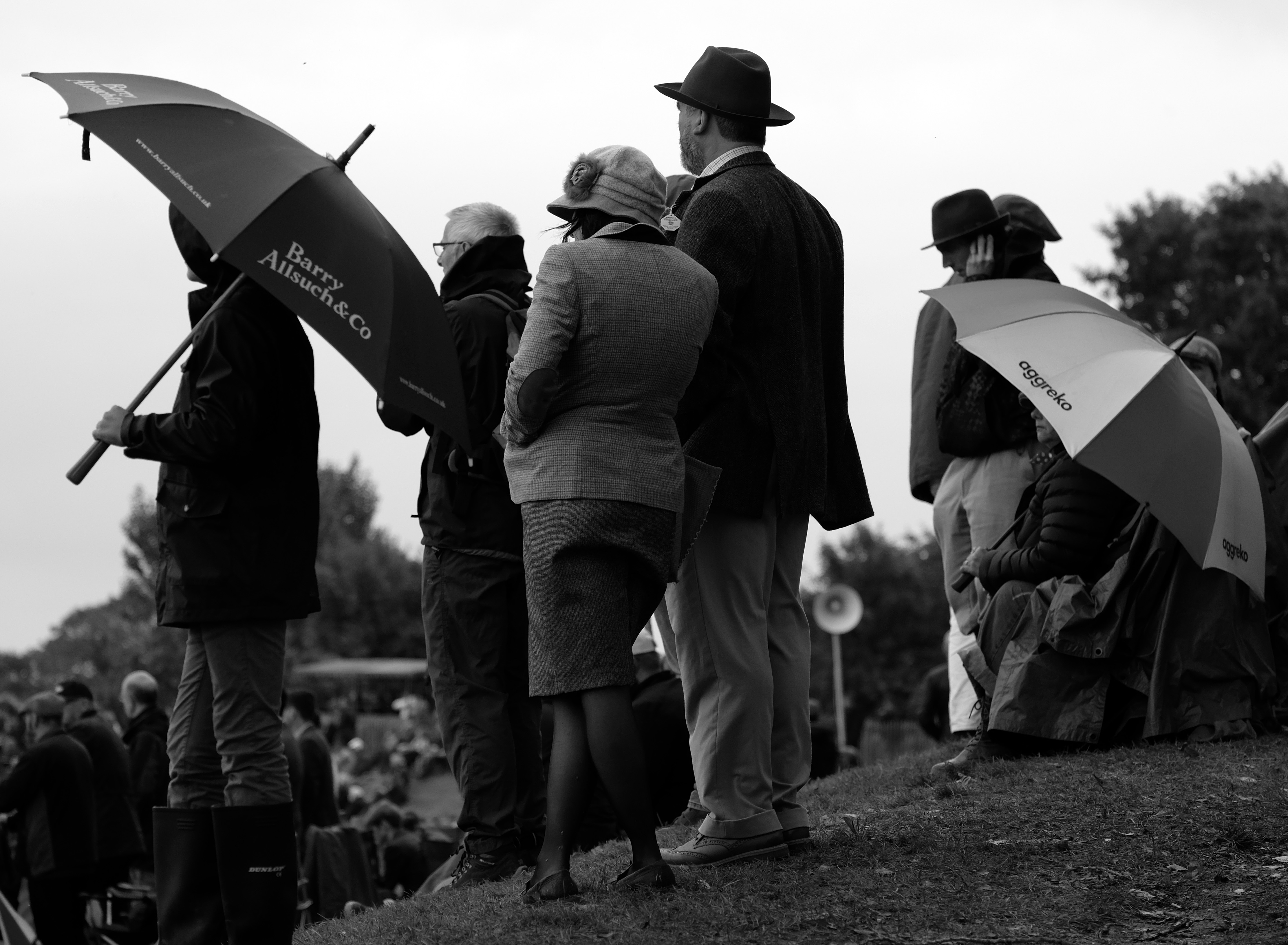 Umbrellas